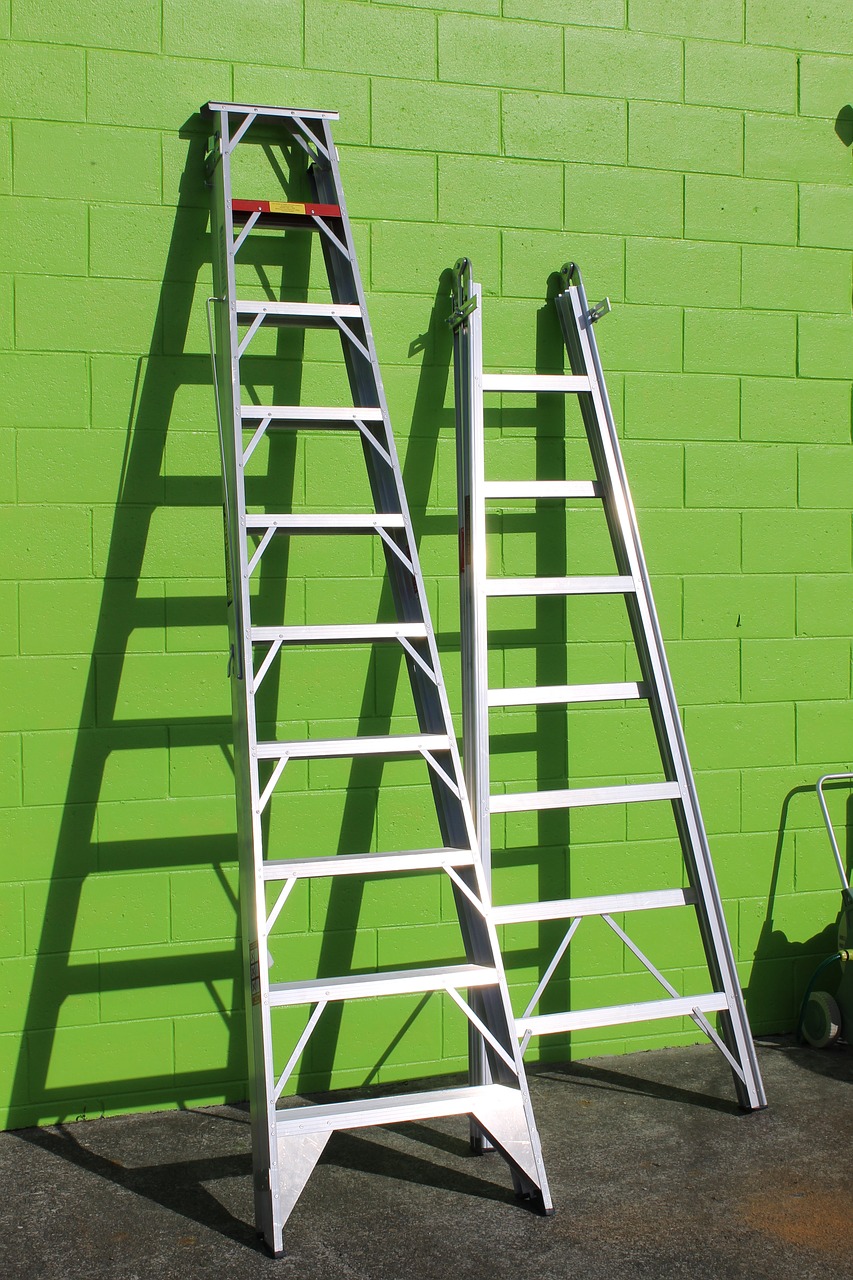 Want a Ladder? There are so many to choose from...