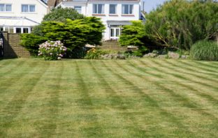 How to Look After a Lawn During Spring Time